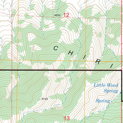 US Forest Service - Topo Little Wood Canyon, AZ FSTopo Legacy digital map
