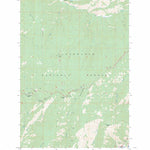 US Forest Service - Topo Liz Butte, ID FSTopo Legacy digital map