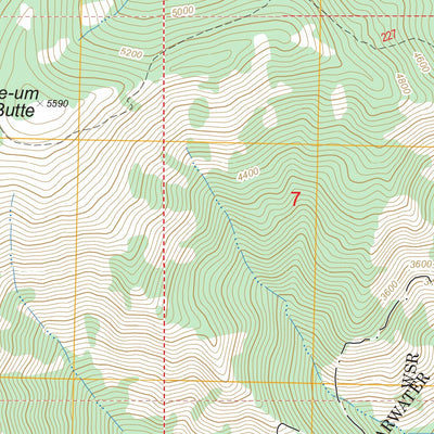 US Forest Service - Topo Liz Butte, ID FSTopo Legacy digital map