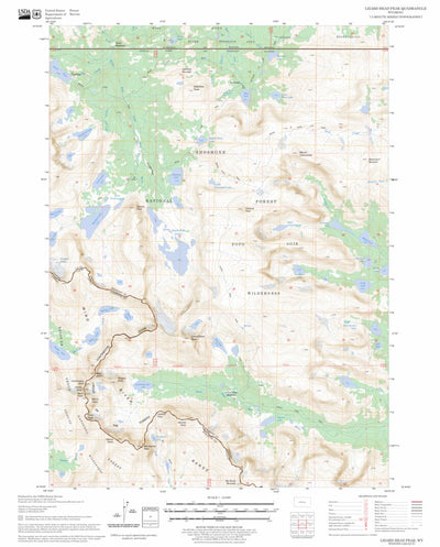 US Forest Service - Topo Lizard Head Peak, WY FSTopo Legacy digital map