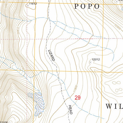 US Forest Service - Topo Lizard Head Peak, WY FSTopo Legacy digital map