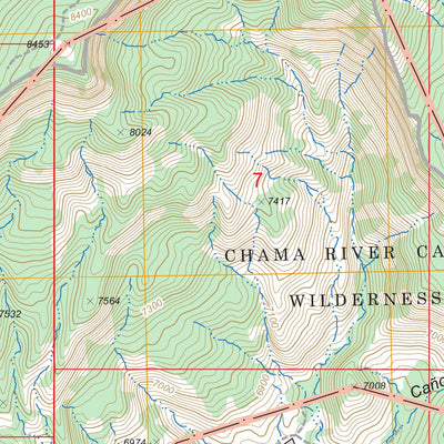 US Forest Service - Topo Llaves, NM FSTopo Legacy digital map