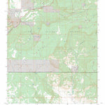 US Forest Service - Topo Lobo Springs, NM FSTopo Legacy digital map
