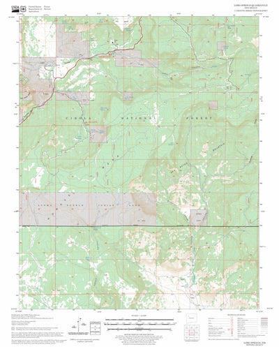 US Forest Service - Topo Lobo Springs, NM FSTopo Legacy digital map