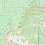US Forest Service - Topo Lobo Springs, NM FSTopo Legacy digital map