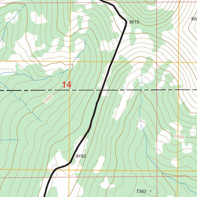 US Forest Service - Topo Loco Mountain, MT FSTopo Legacy digital map