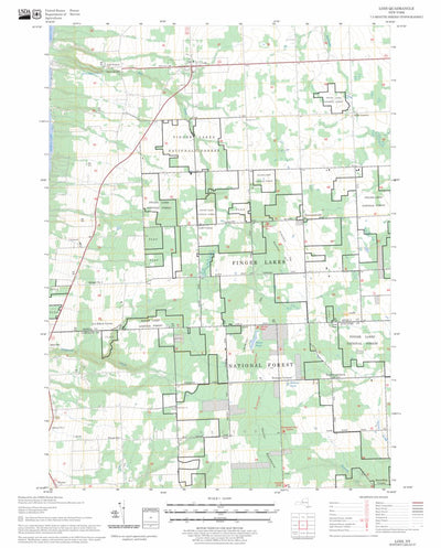 US Forest Service - Topo Lodi, NY FSTopo Legacy digital map