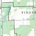 US Forest Service - Topo Lodi, NY FSTopo Legacy digital map