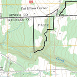 US Forest Service - Topo Lodi, NY FSTopo Legacy digital map