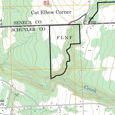US Forest Service - Topo Lodi, NY FSTopo Legacy digital map