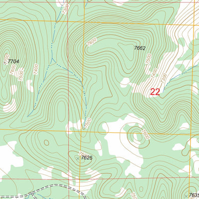 US Forest Service - Topo Log Canyon, NM FSTopo Legacy digital map