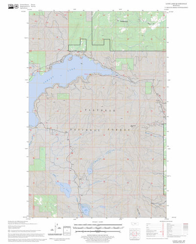US Forest Service - Topo Lone Lake, MT FSTopo Legacy digital map