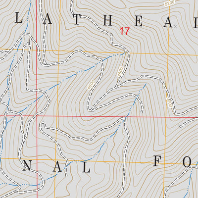 US Forest Service - Topo Lone Lake, MT FSTopo Legacy digital map