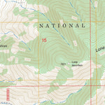 US Forest Service - Topo Lone Mountain, NM FSTopo Legacy digital map