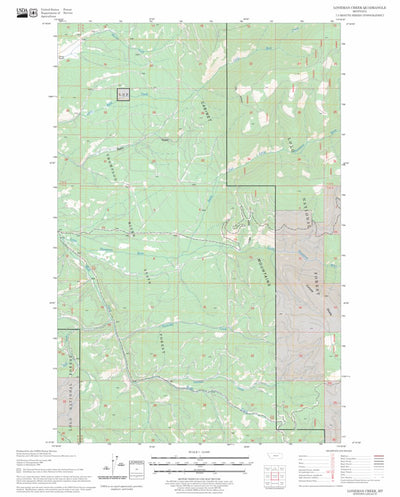 US Forest Service - Topo Loneman Creek, MT FSTopo Legacy digital map
