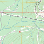 US Forest Service - Topo Loneman Creek, MT FSTopo Legacy digital map