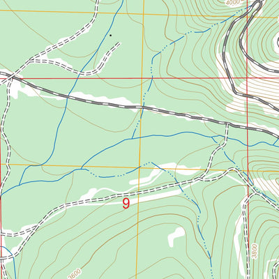 US Forest Service - Topo Loneman Creek, MT FSTopo Legacy digital map