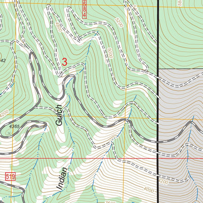 US Forest Service - Topo Loneman Creek, MT FSTopo Legacy digital map