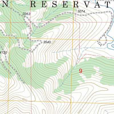 US Forest Service - Topo Lonepine, MT FSTopo Legacy digital map