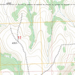 US Forest Service - Topo Lonerock, OR FSTopo Legacy digital map