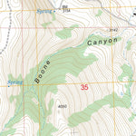 US Forest Service - Topo Lonerock, OR FSTopo Legacy digital map
