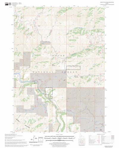 US Forest Service - Topo Long Gulch, ID FSTopo Legacy digital map