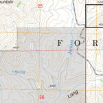 US Forest Service - Topo Long Gulch, ID FSTopo Legacy digital map