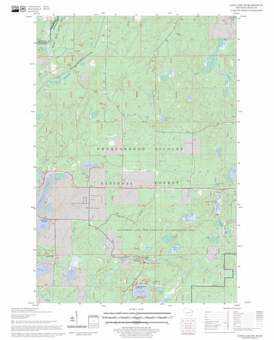 US Forest Service - Topo Long Lake NE, WI - MI FSTopo Legacy digital map
