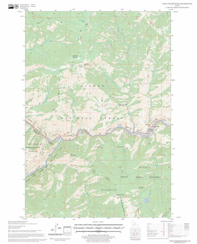 US Forest Service - Topo Long Tom Mountain, ID FSTopo Legacy digital map