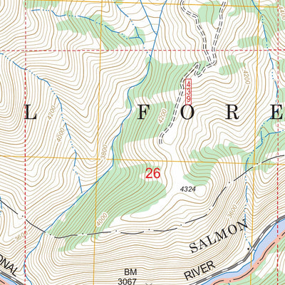US Forest Service - Topo Long Tom Mountain, ID FSTopo Legacy digital map