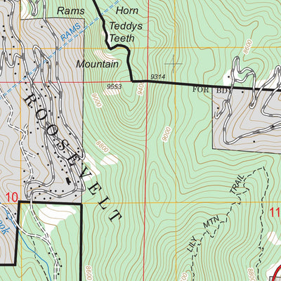 US Forest Service - Topo Longs Peak, CO FSTopo Legacy digital map