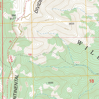 US Forest Service - Topo Lookout Mountain, NM FSTopo Legacy digital map