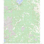 US Forest Service - Topo Loon Lake, CA FSTopo Legacy digital map