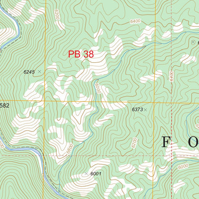 US Forest Service - Topo Loon Lake, ID FSTopo Legacy digital map