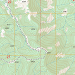 US Forest Service - Topo Los Indios Canyon, NM FSTopo Legacy digital map