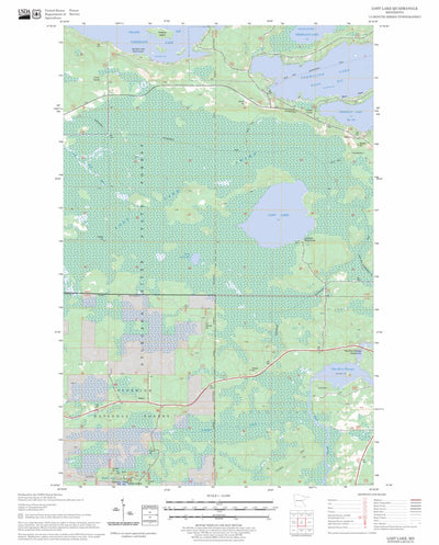 US Forest Service - Topo Lost Lake, MN FSTopo Legacy digital map