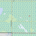 US Forest Service - Topo Lost Lake, MN FSTopo Legacy digital map