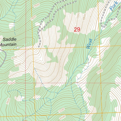 US Forest Service - Topo Lost Trail Pass, MT - ID FSTopo Legacy digital map