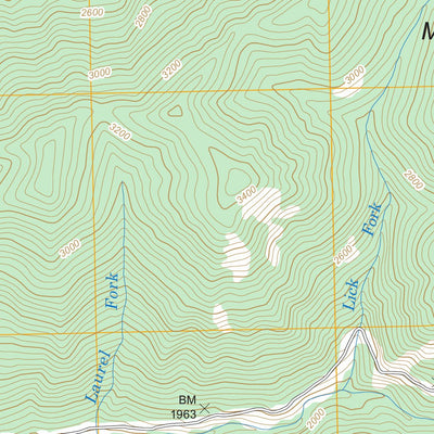 US Forest Service - Topo Louellen, KY FSTopo Legacy digital map