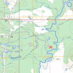 US Forest Service - Topo Louin SW, MS FSTopo Legacy digital map