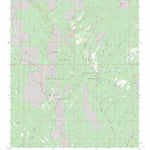 US Forest Service - Topo Lower Colonias, NM FSTopo Legacy digital map