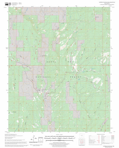 US Forest Service - Topo Lower Colonias, NM FSTopo Legacy digital map