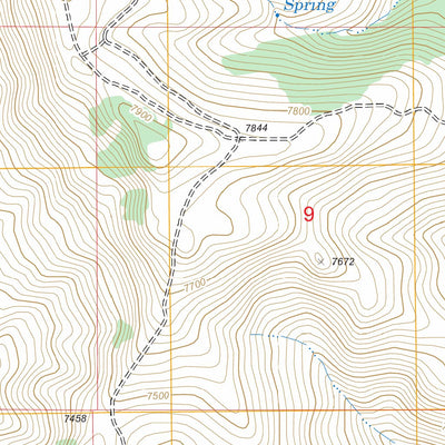US Forest Service - Topo Lower Red Rock Lake, MT - ID FSTopo Legacy digital map