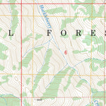 US Forest Service - Topo Lowman, ID FSTopo Legacy digital map