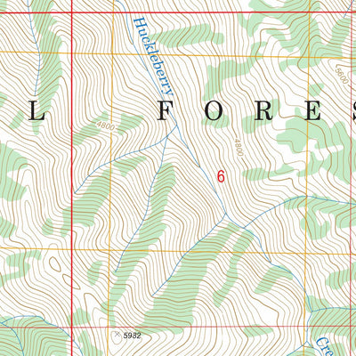 US Forest Service - Topo Lowman, ID FSTopo Legacy digital map