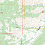 US Forest Service - Topo Lucky Boy, NV FSTopo Legacy digital map