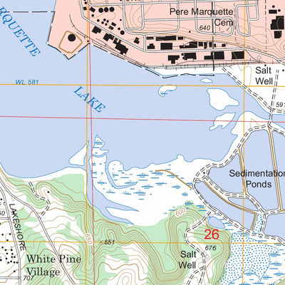 US Forest Service - Topo Ludington, MI FSTopo Legacy digital map