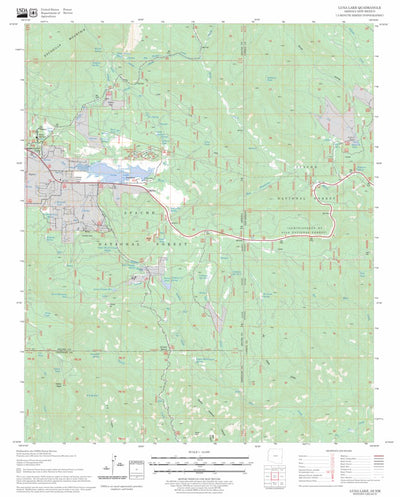 US Forest Service - Topo Luna Lake, AZ - NM FSTopo Legacy digital map