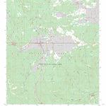 US Forest Service - Topo Luna, NM FSTopo Legacy digital map