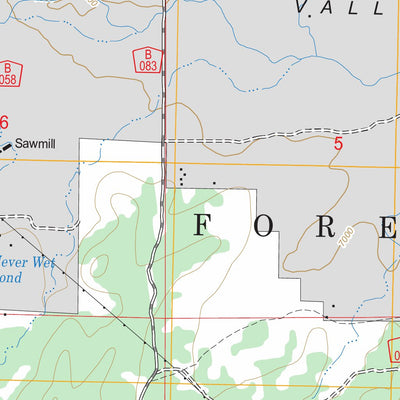 US Forest Service - Topo Luna, NM FSTopo Legacy digital map